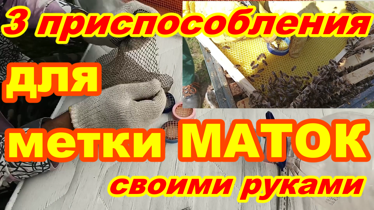 Как пометить матку пчелы БЫСТРО ПРОСТО ! 3 приспособления для МЕТКИ МАТОК  за 3 минуты Своими руками