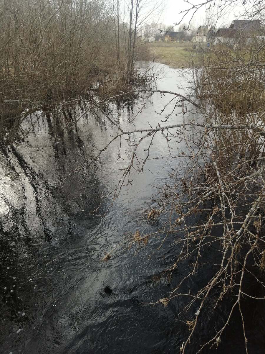 Могу бесконечно смотреть  на мою волшебную реку в деревне. 