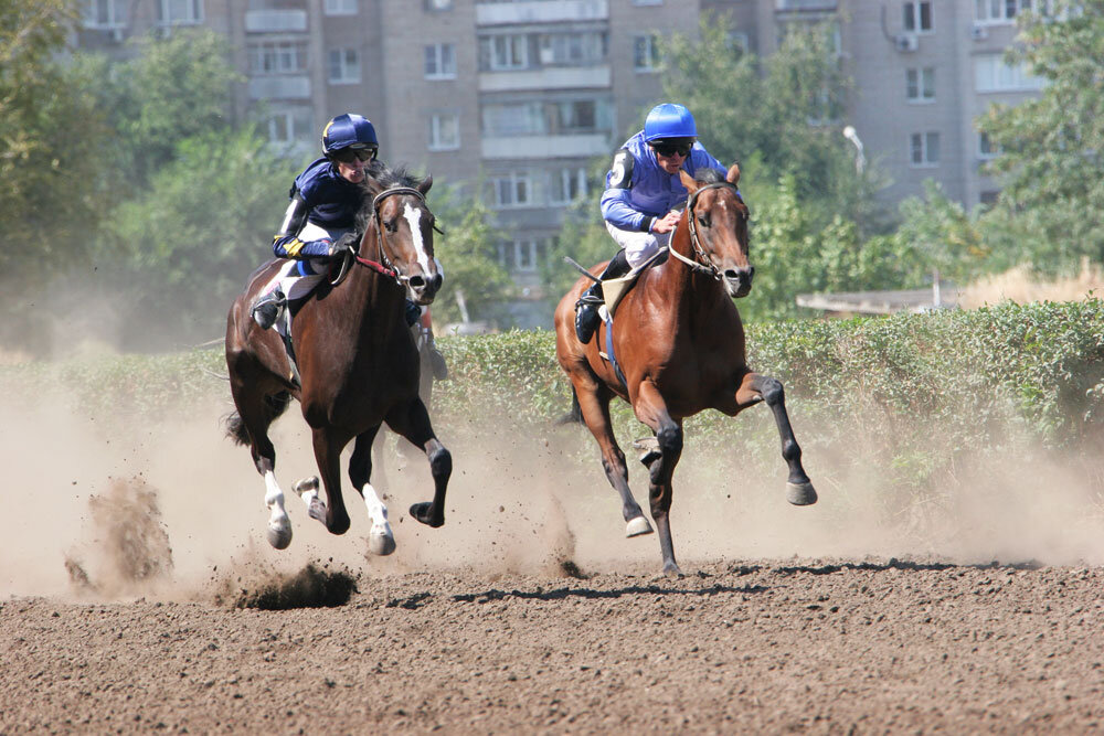    фото сайта donland.ru