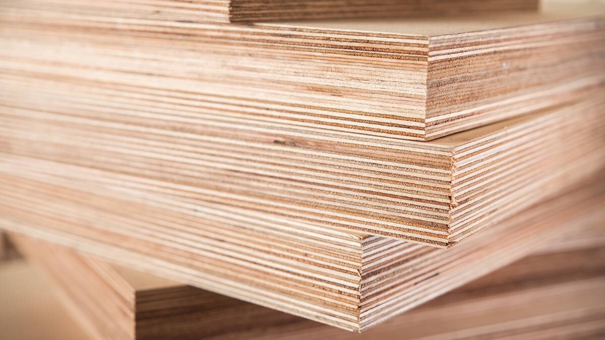    Фото: shutterstock