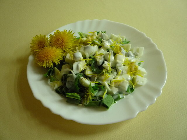 Салат из одуванчиков.