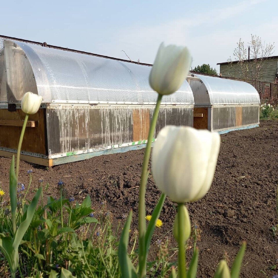    Соцсети блогера svetlana_zherebnaya