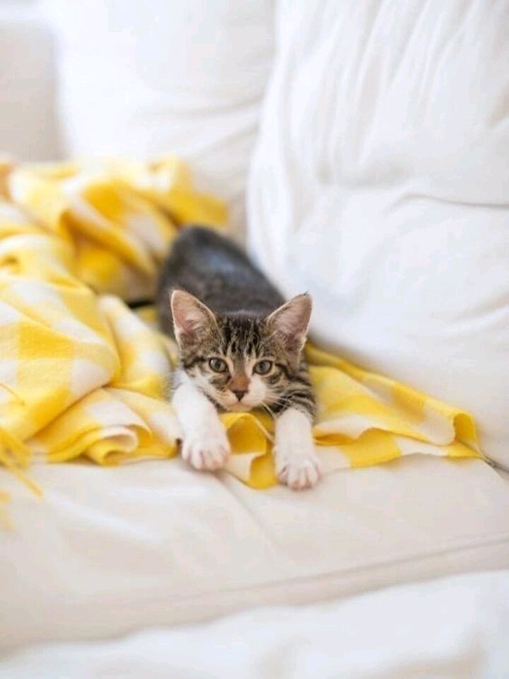 Фото из интернета. 