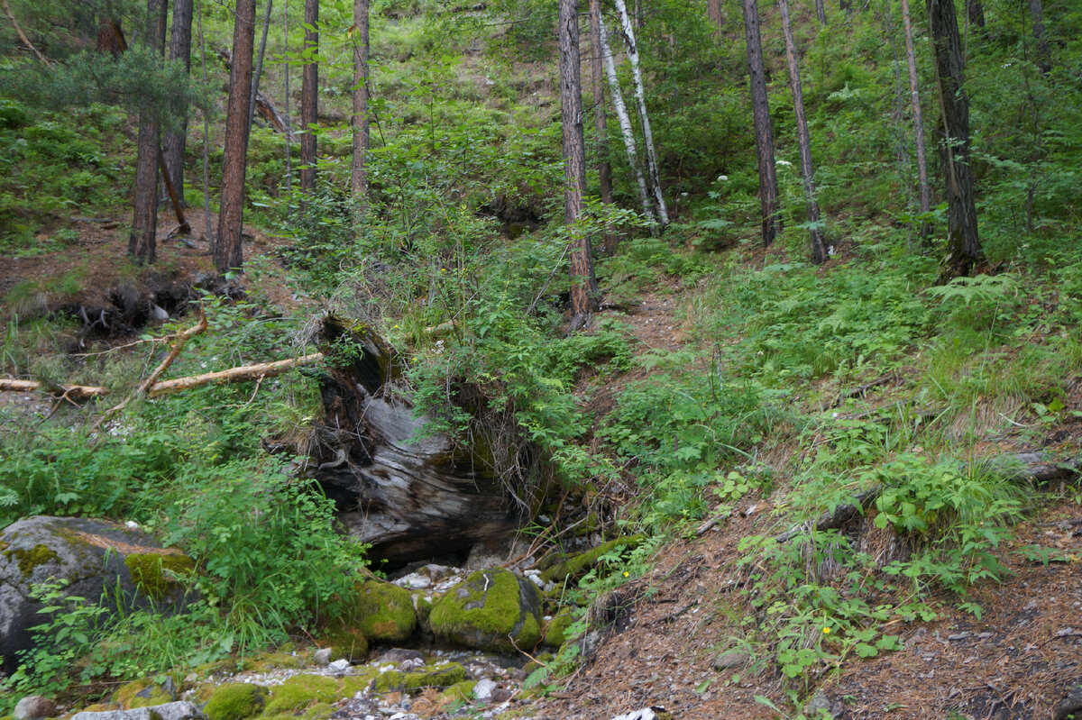 Пик 12. Пик 12. Инфракрасный прожектор пик. Пик 12. Пик 12.