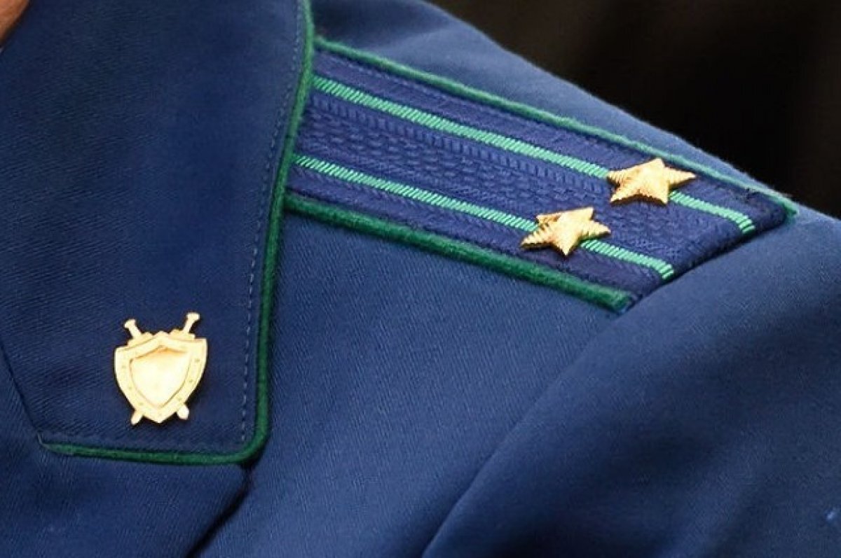    В Волгограде чиновники попытались отнять пособия у многодетной семьи