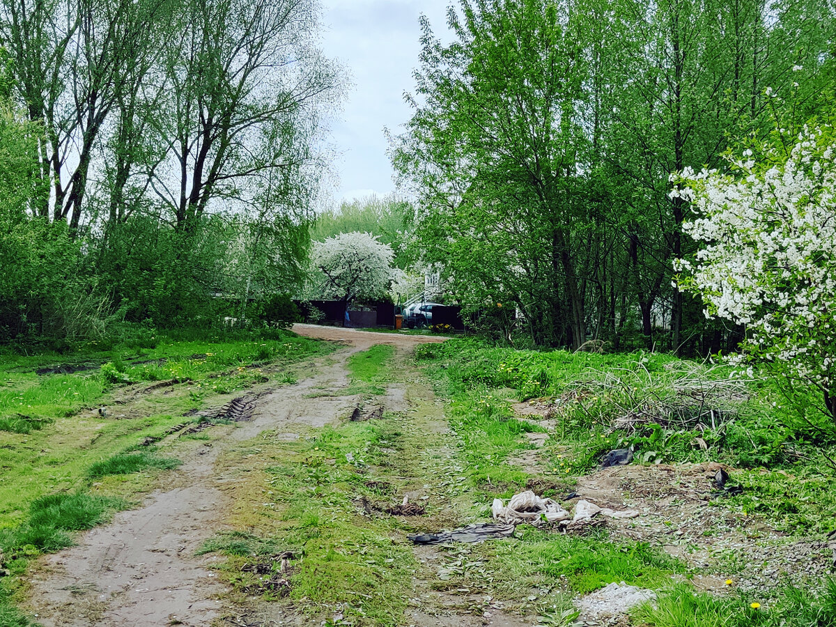 Неизвестная дорога.