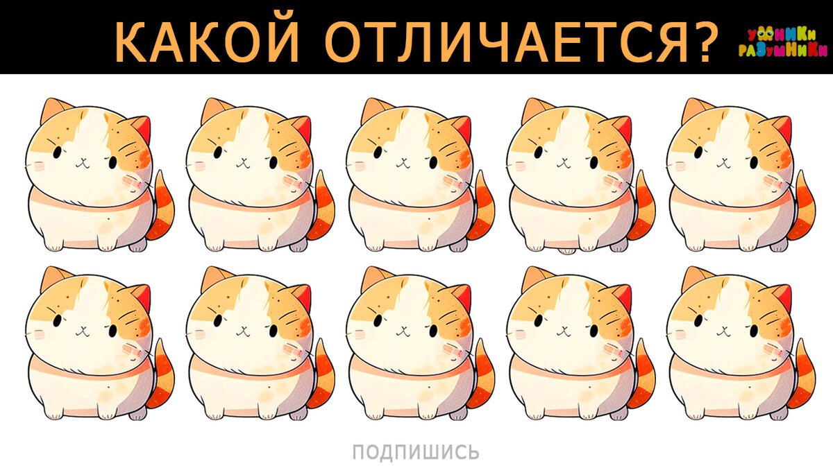 Один кот отличается
