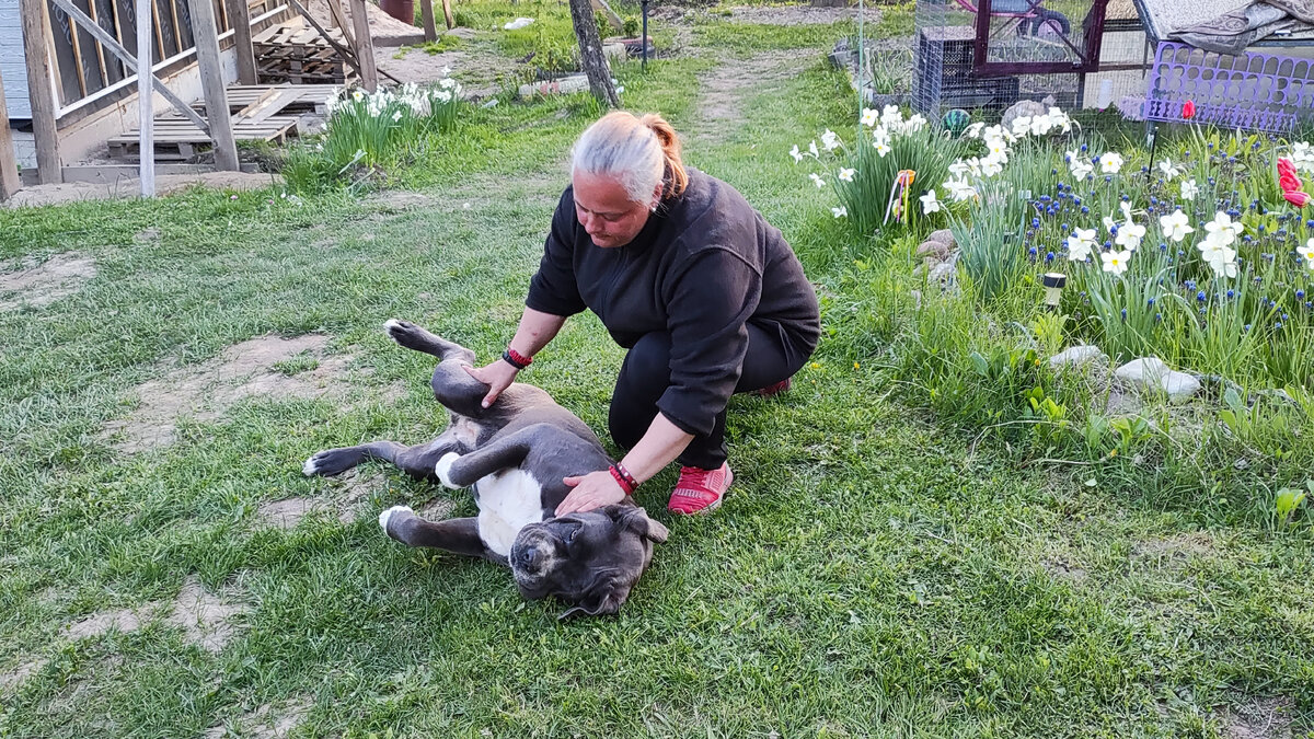 Успокоение нервной системы.