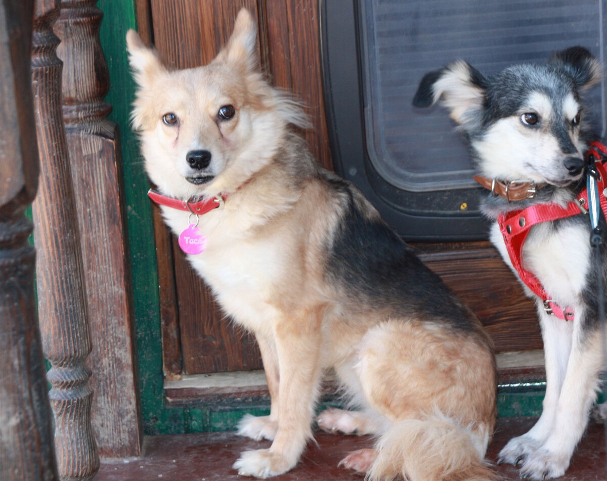 Тася много лет назад