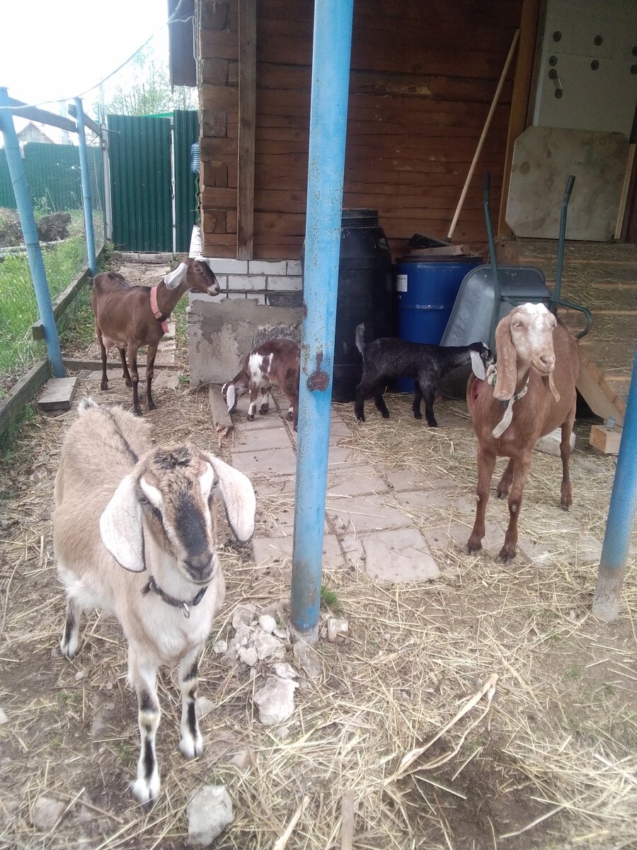 Фото автора. 