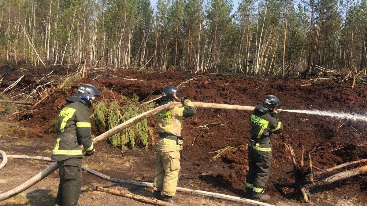     По данным тюменского МЧС, в регионе снята угроза населённым пунктам от лесных пожаров. Сейчас в тушении пожаров участвует самолет Ил-76 МЧС России и 4 вертолета.