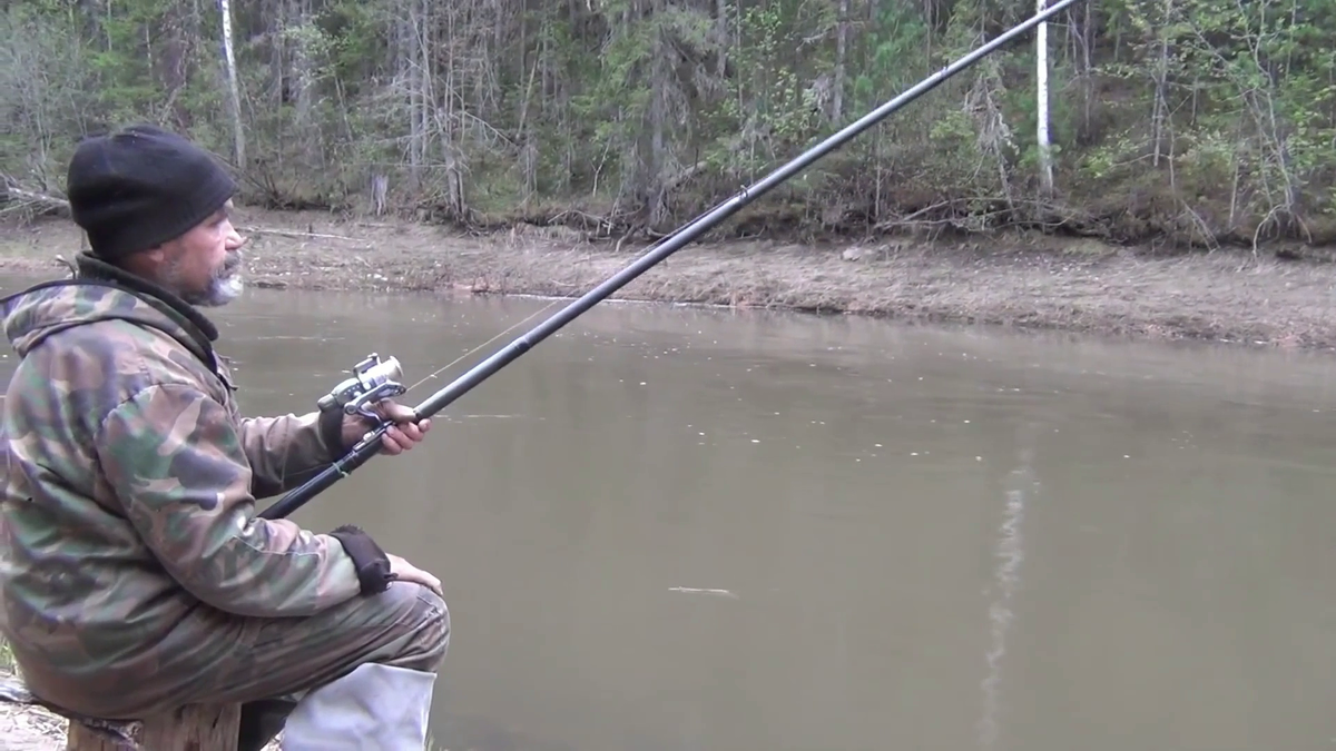 РЫБАЛКА ТАЙГА ТАЙМЕНЬ ударил ХВОСТОМ. Хвост очень ЗДОРОВЫЙ. Федорович говорит: " Вот и рыбы нет ".  Так оно и есть. - (смотрите на видео внизу статьи)