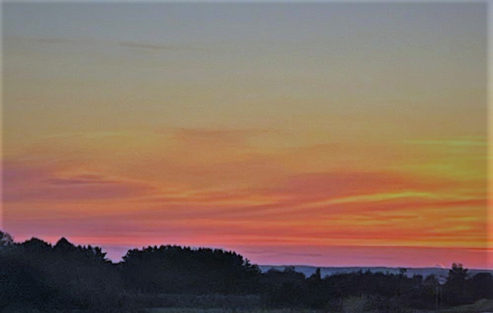 На рассвете. Фото О. Камаловой.