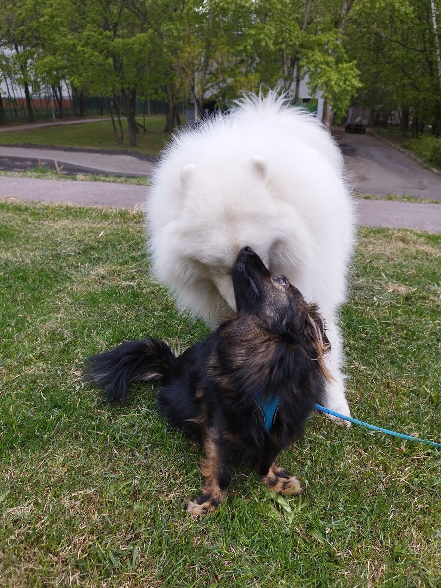 Я не против такого знакомства