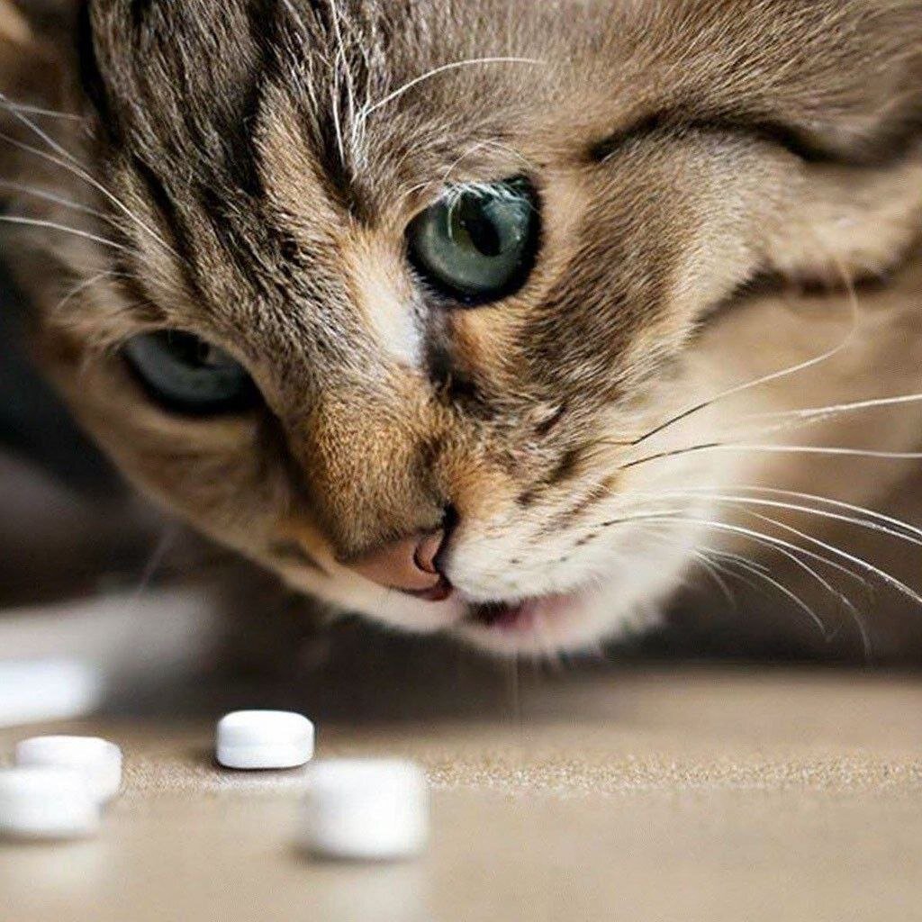 Препараты под строгим надзором!