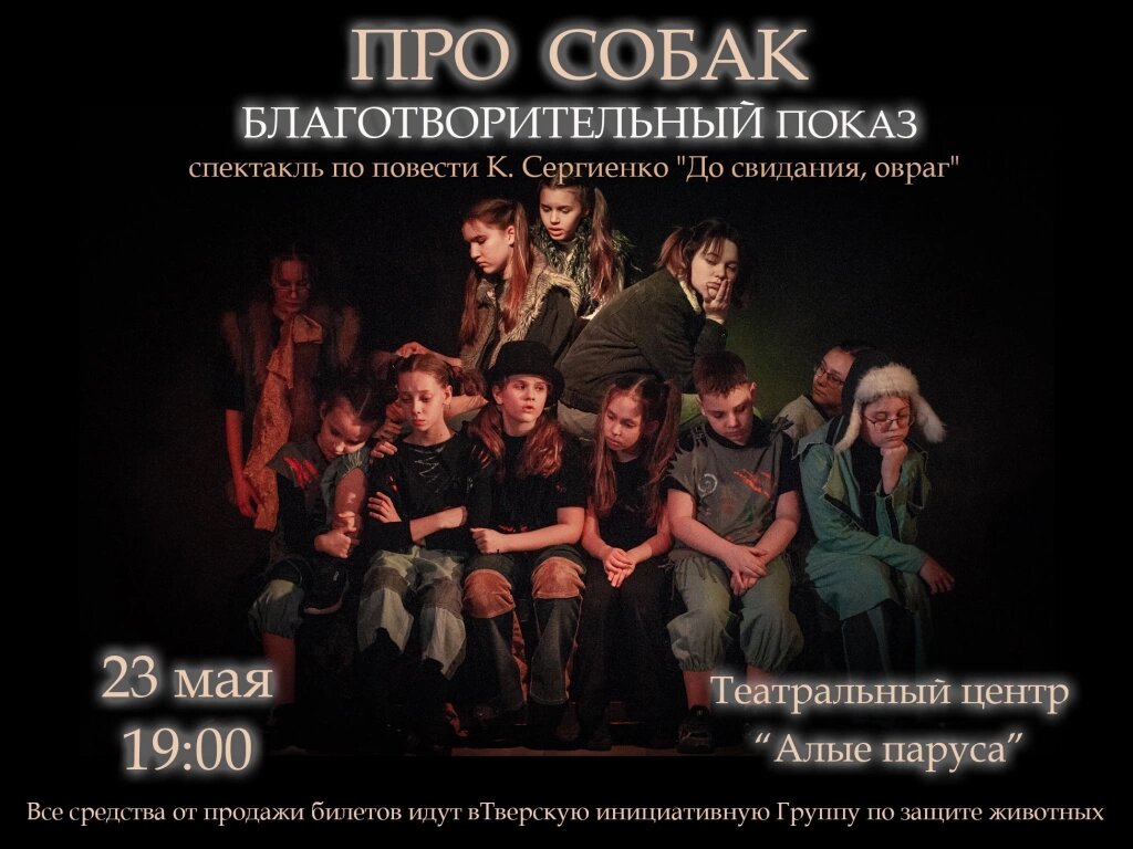 В Твери зоозащитники и студенты поставили спектакль о брошенных животных «Про собак»