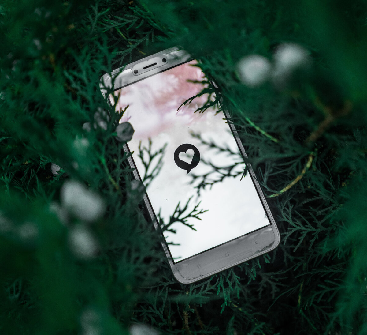 Фото Pratik Gupta - unsplash.