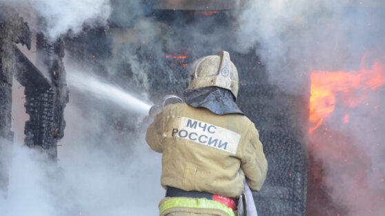    В Курганской области свыше 2500 человек пострадали от природных пожаров Ксения Пудовкина