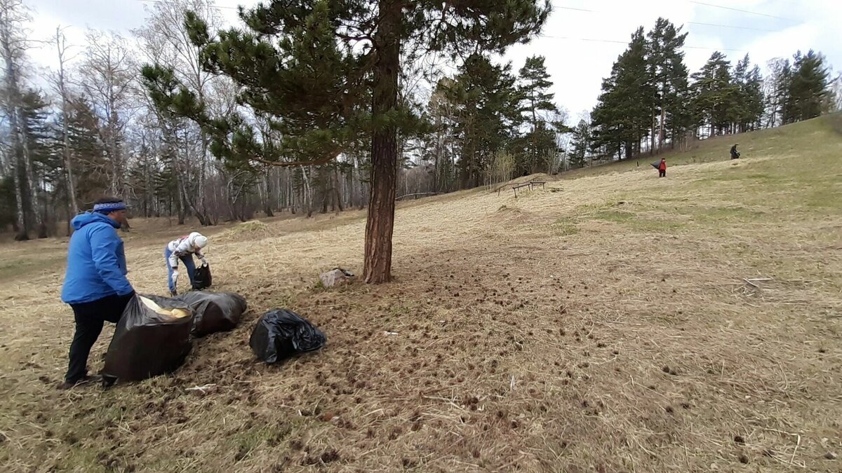     Левобережный региональный оператор оказал помощь волонтерам, которые провели уборку популярных мест отдыха красноярцев — березовой рощи в Академгородке, берега рядом с Домом ученых и Блин-горы.
