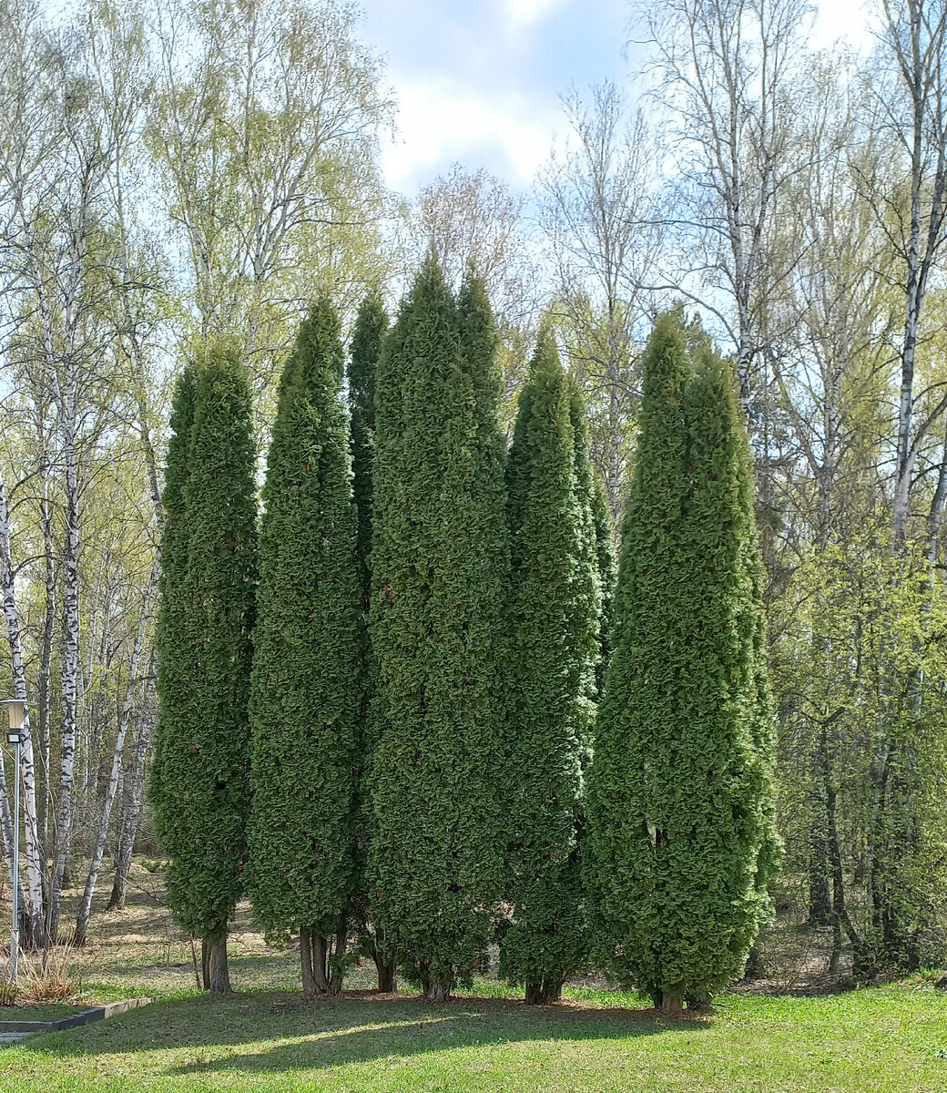 Вот такие красавицы мне попались на пути