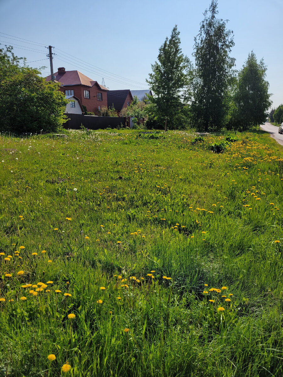 Доброе утро начинается с добрых мыслей