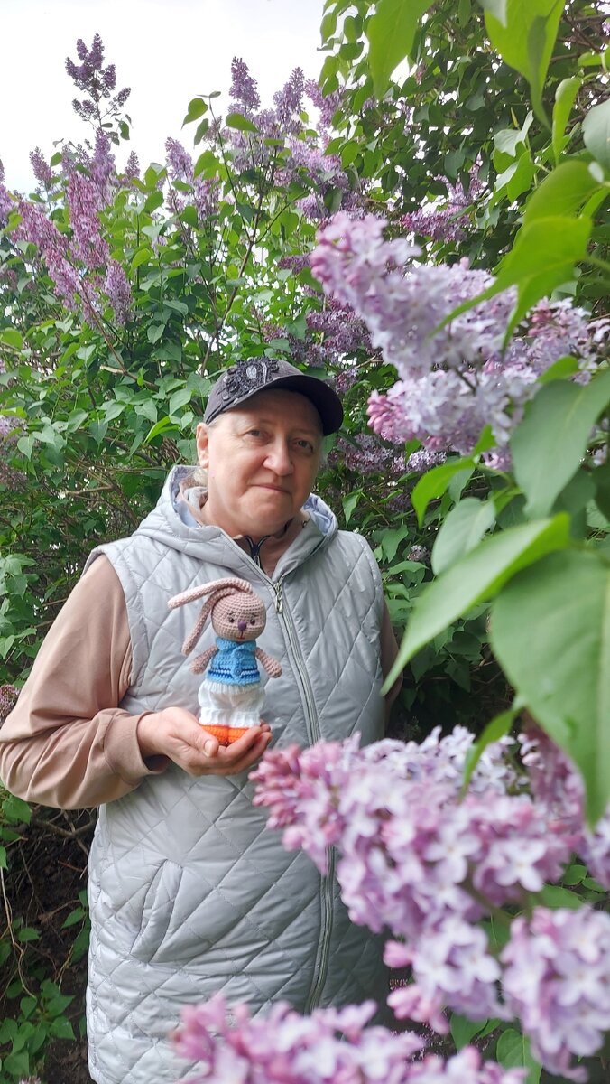 Май 2023. Чайка в сирени...