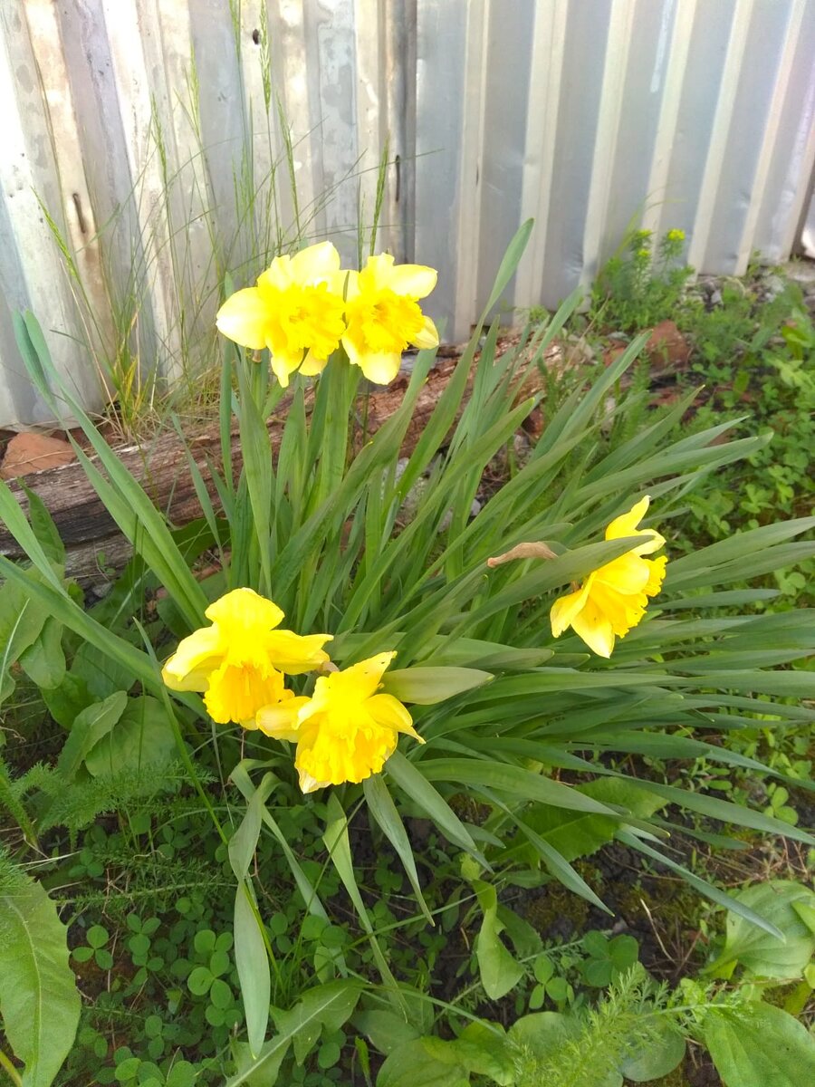 личное фото Смирновой Н.Е.