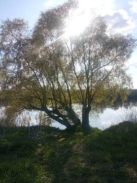 Фото из личного архива.