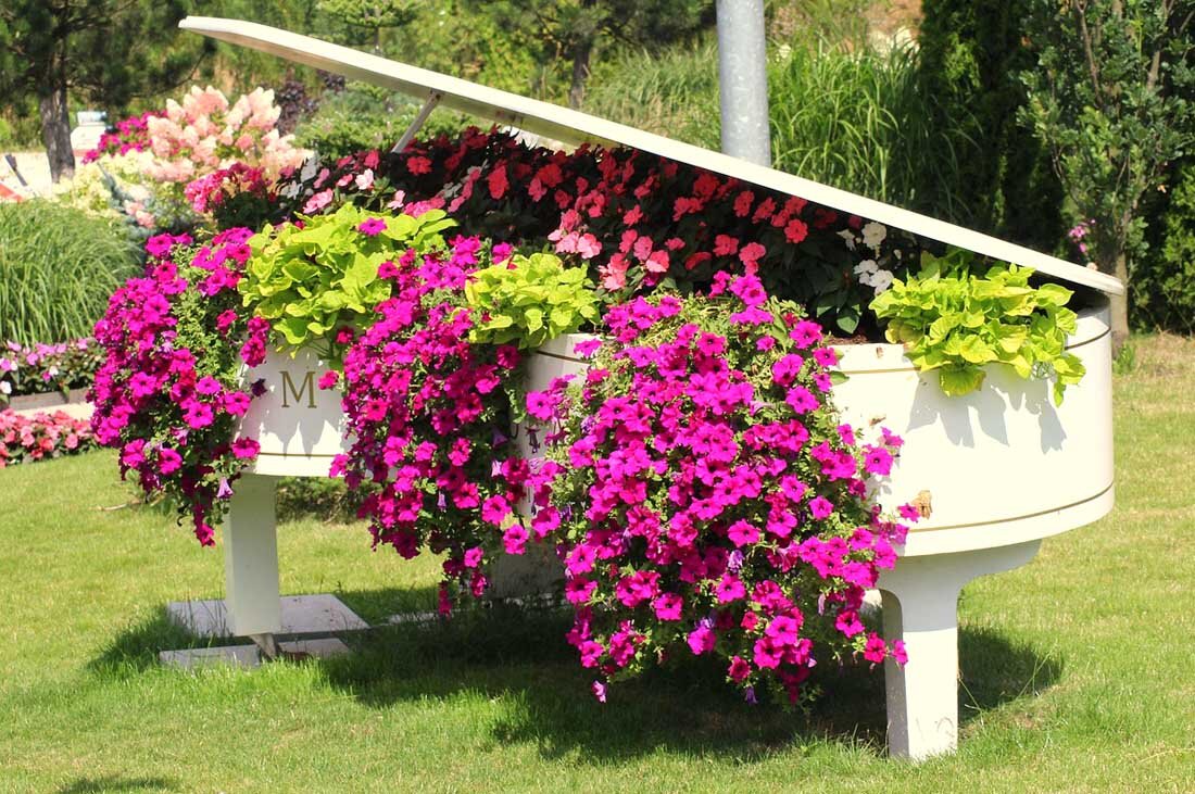 Фото: pixabay.com