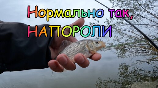 Кирюха на оке видео