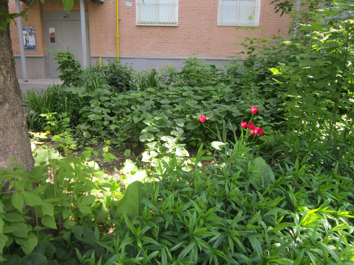 Вид издалека с противоположной стороны. Сразу понятно, куда смотреть.