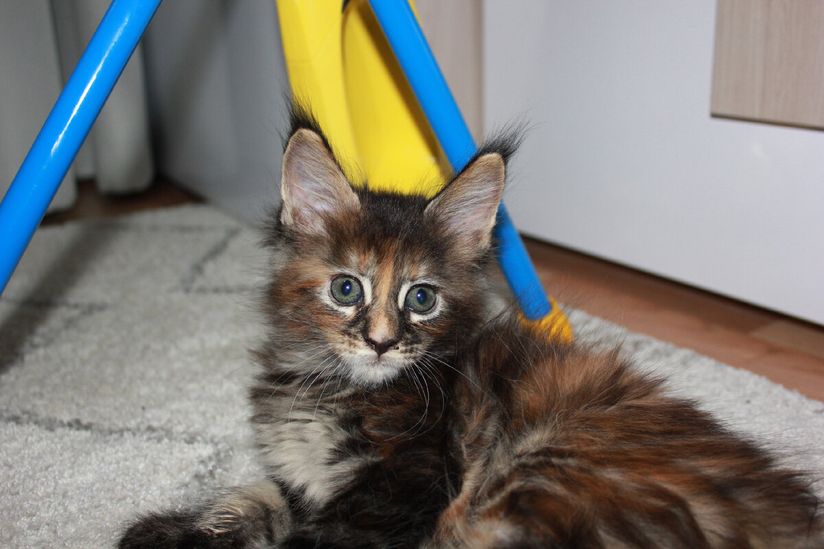 Отдыхаю после игры