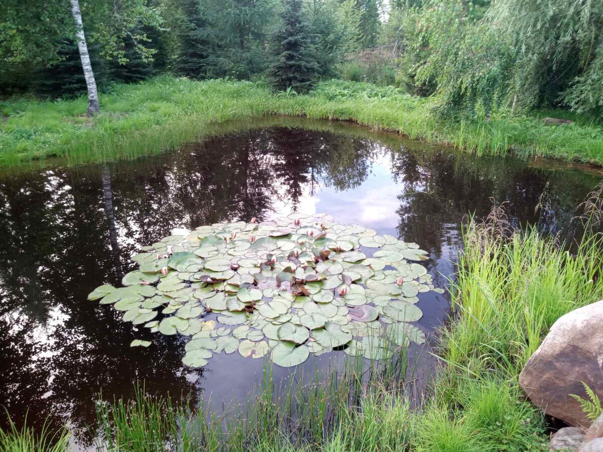 Личный архив