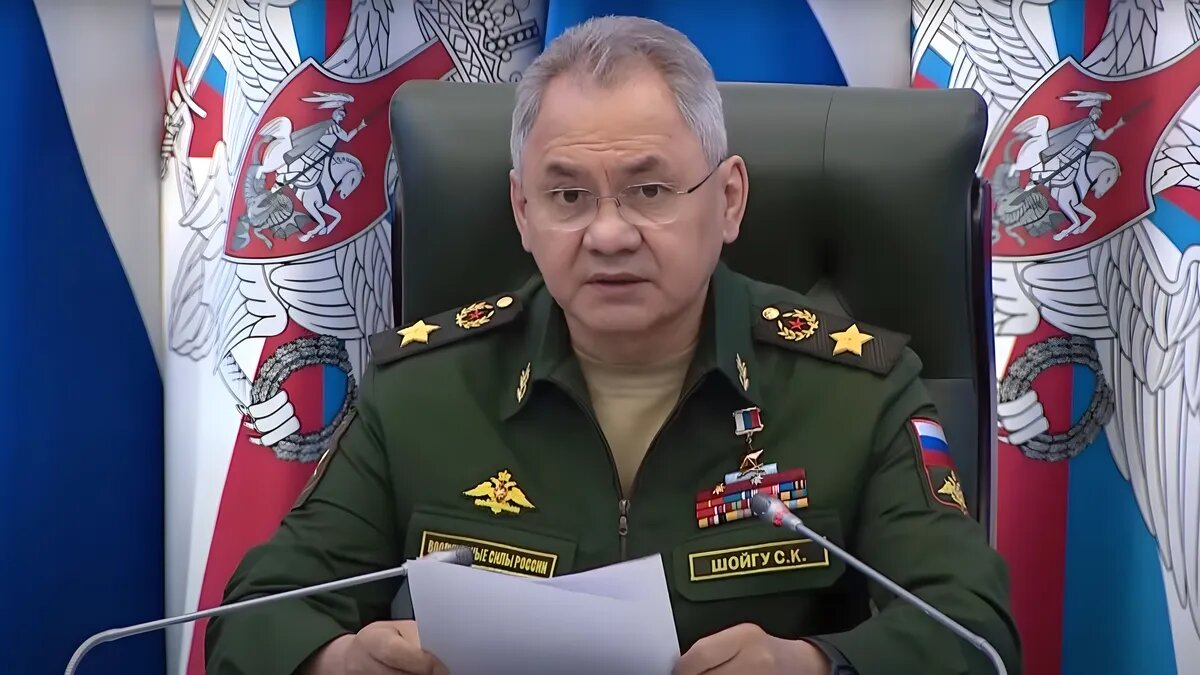 Сергей Шойгу. Фото: кадр из видео
