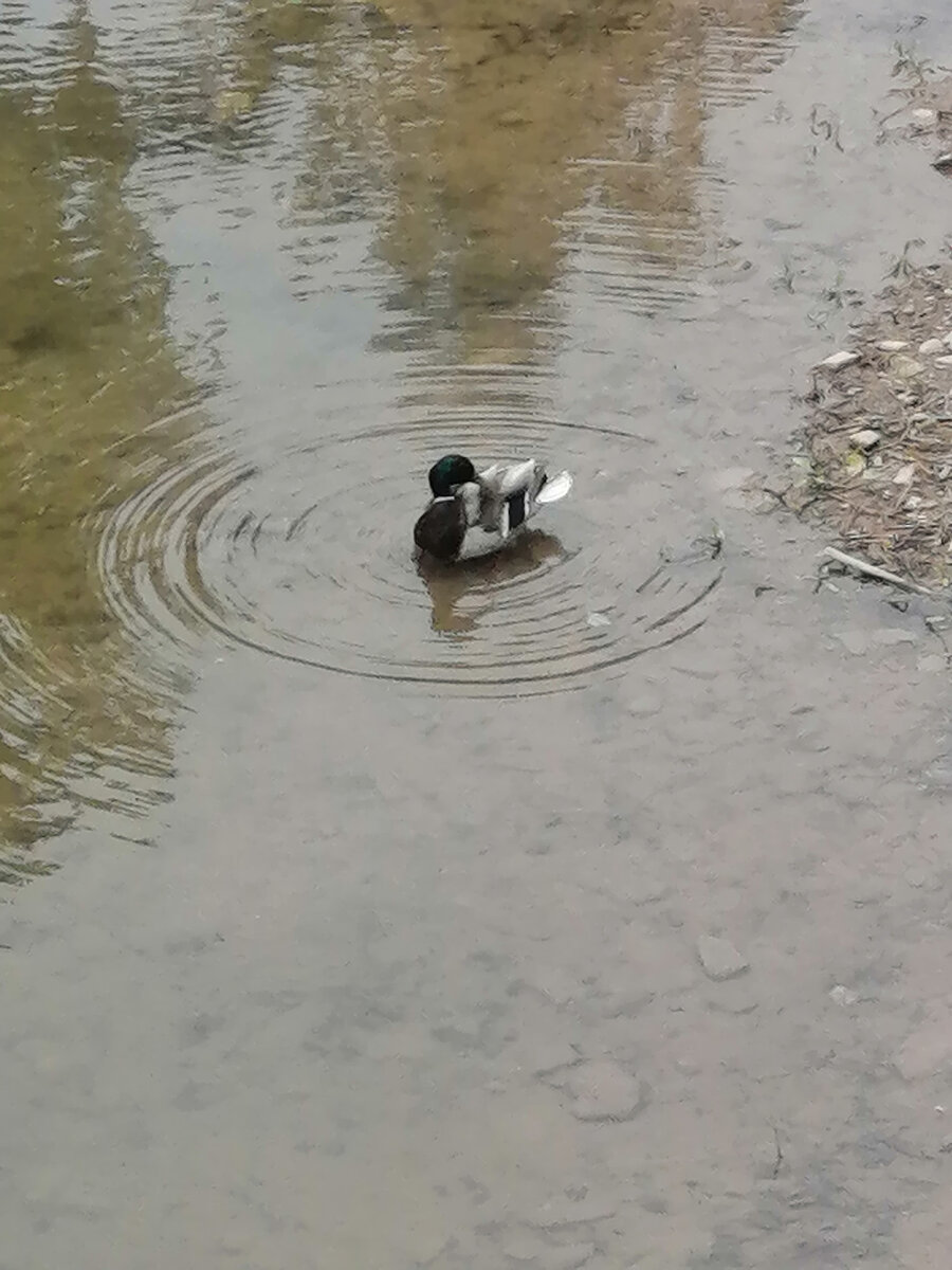 Для чего нам дается наше время на земле?