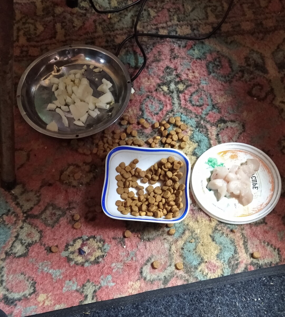 Личное  фото.