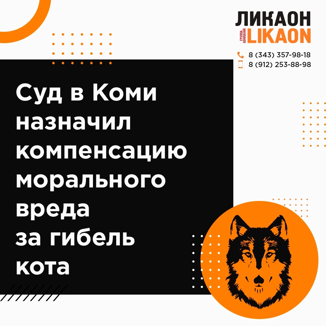 Суд в Коми назначил компенсацию морального вреда за гибель кота 🔶 🔶 🔶 🔶  🔶 🔶 | Адыева Зарина | Дзен