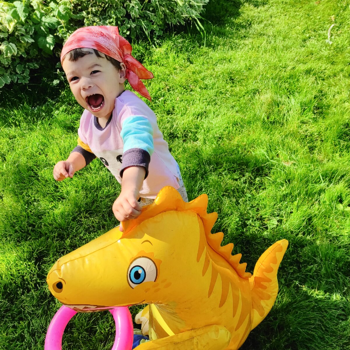 Тот самый первенец, который сейчас, что угодно поставит с ног на голову - архив автора. 