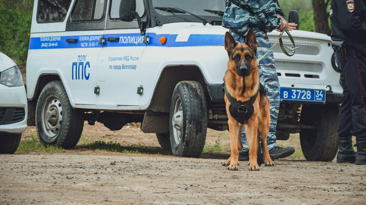     В Краснооктябрьский районный суд Волгограда поступило уголовное дело в отношении местного жителя, которого обвиняют в заведомо ложном сообщении об акте терроризма. Мужчина заявил о готовящемся взрыве отделения полиции, сообщили в облсуде.