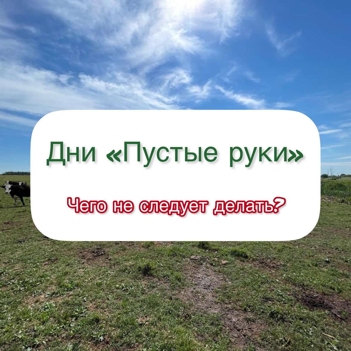 Колесников А. 