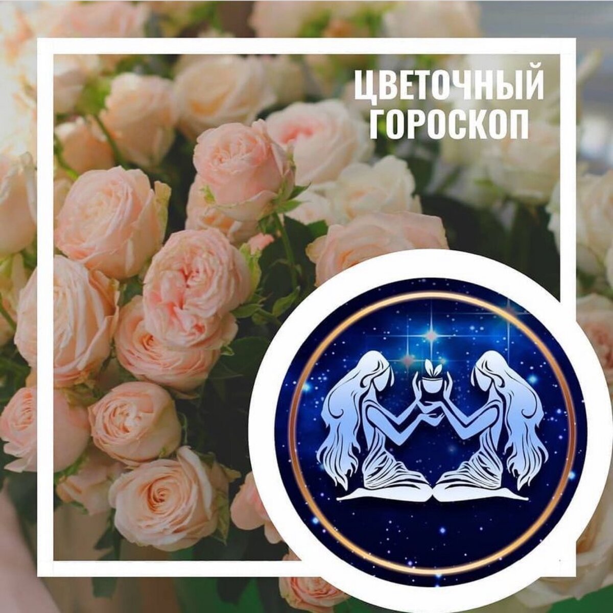 Подари знаки. Знак подари ей цветы.