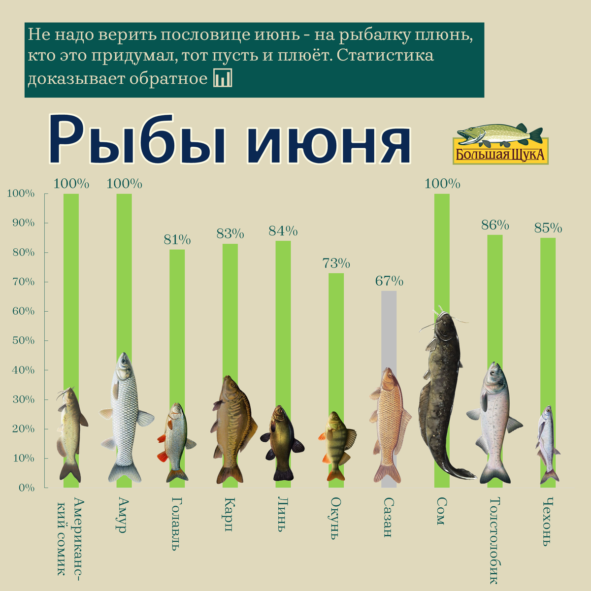 Рыболовный календарь ростовская