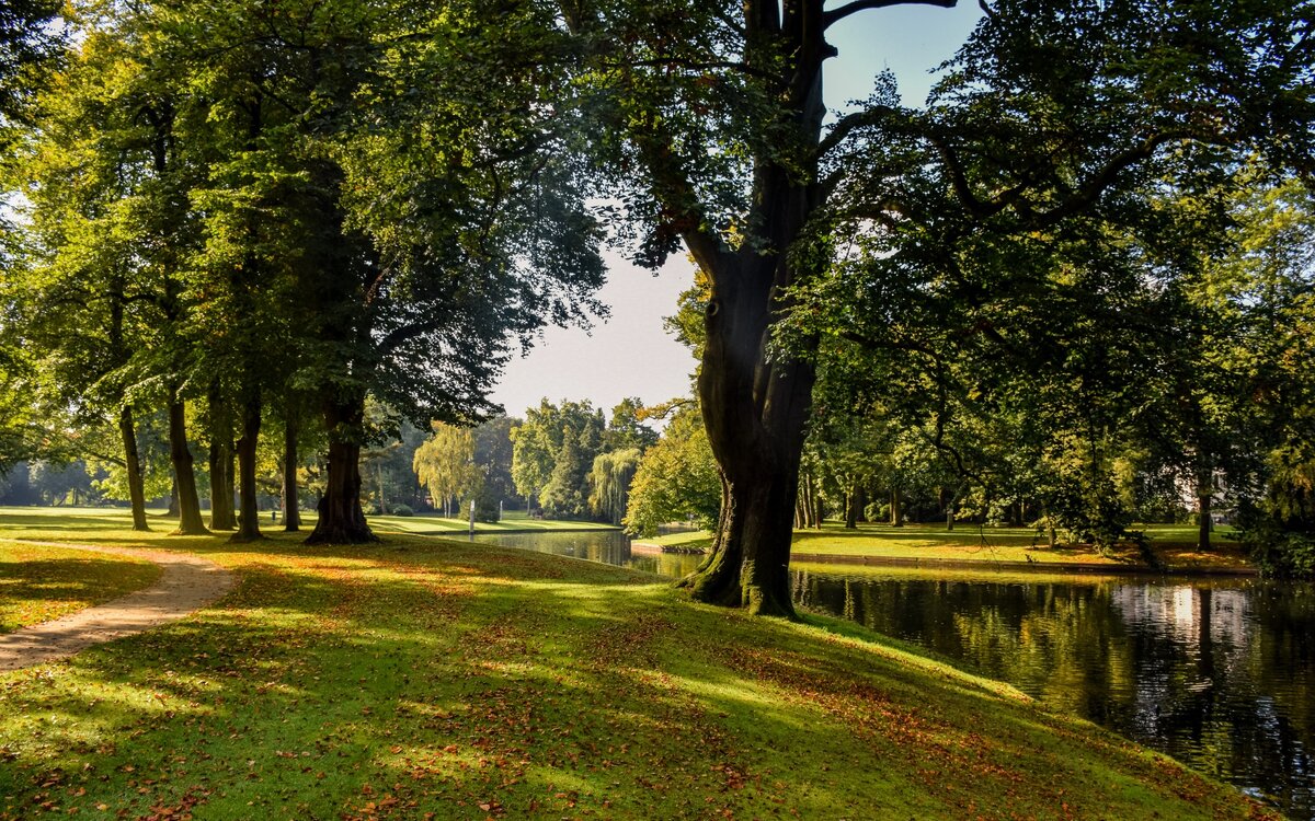 Фото  из  открытых  источников.