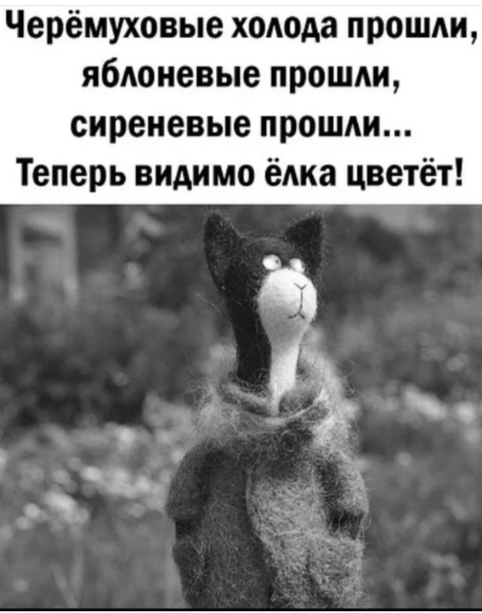 Неровная погода.