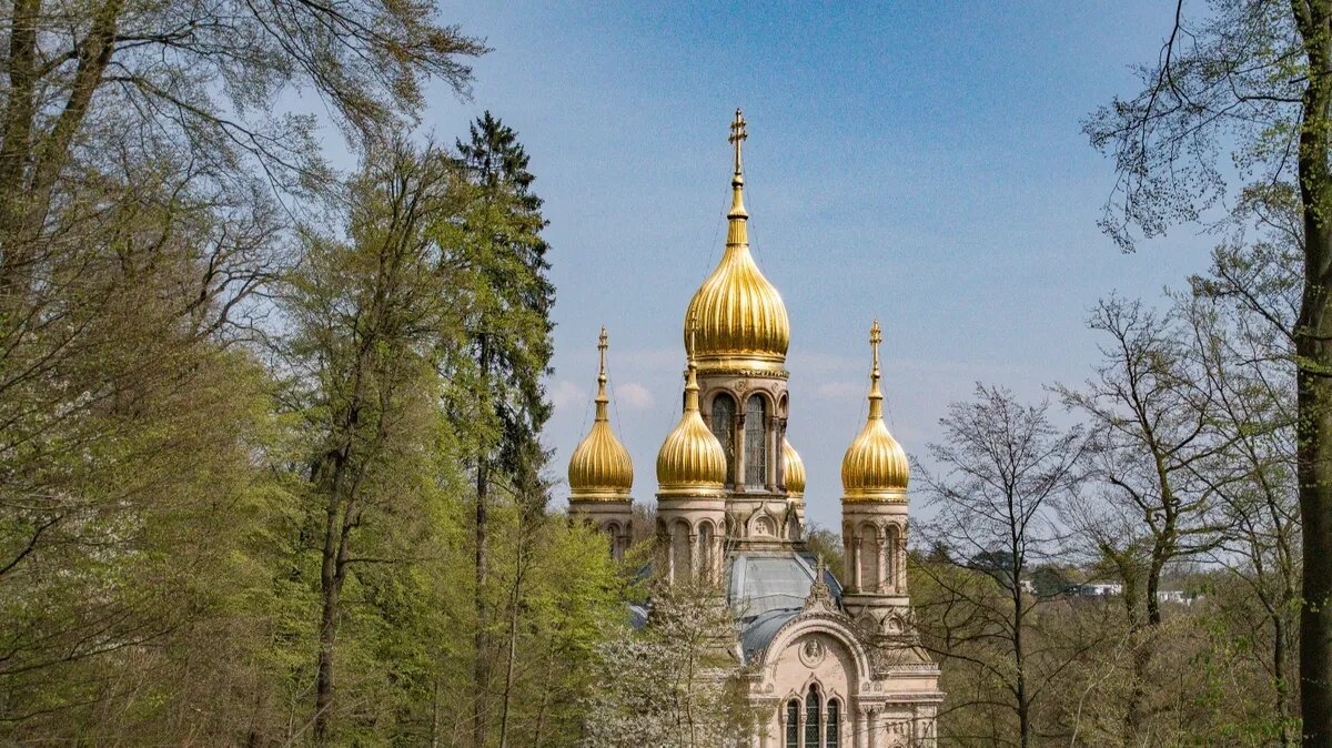 Духов день - 5 июня. Фото: www.piqsels.com