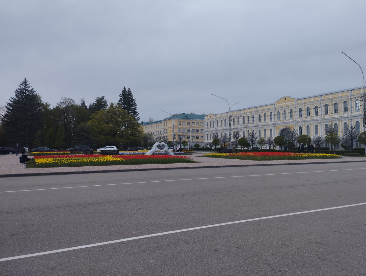 В самом центре Ставрополя красивая клумба с цветами