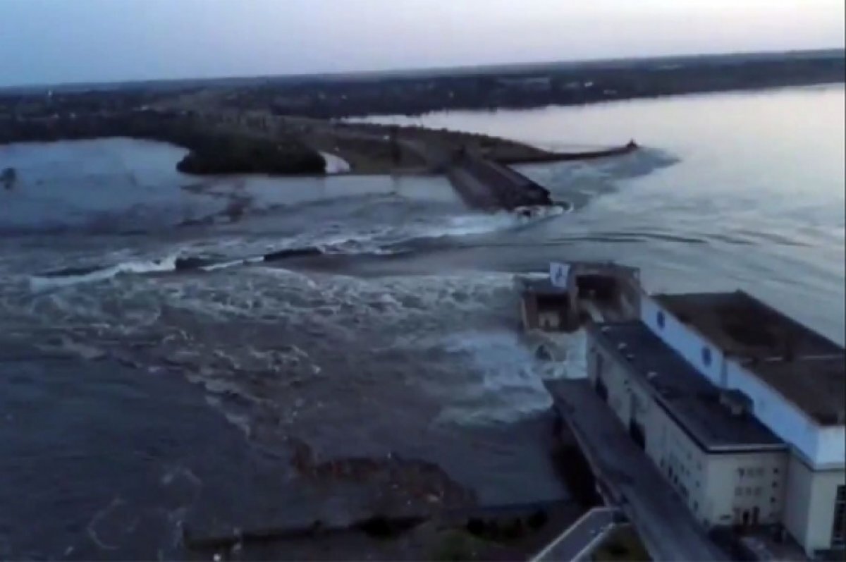    Эколог Рыбальченко: подрыв дамбы навредил родному городу Зеленского