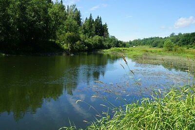    Природно-исторический комплекс «Горковский» © Пресс-служба Министерства экологии и природопользования Московской области