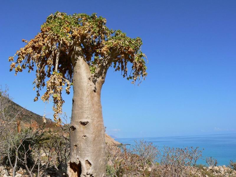 Источник www.storyblocks.com