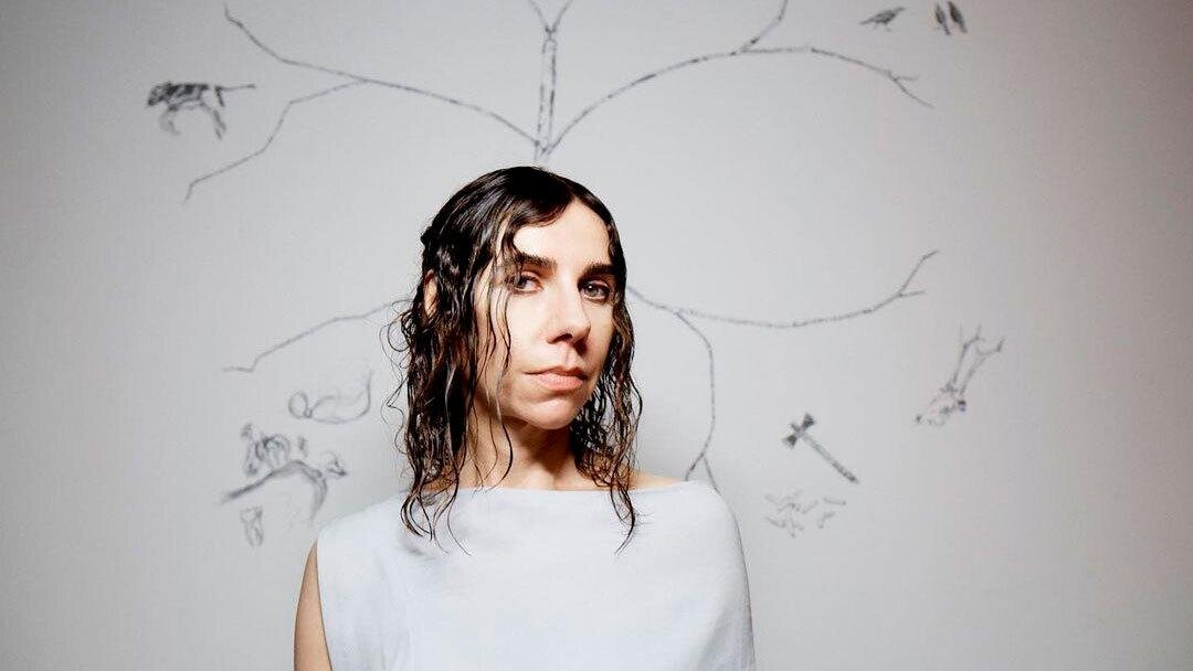 Фото: Соцсети PJ Harvey